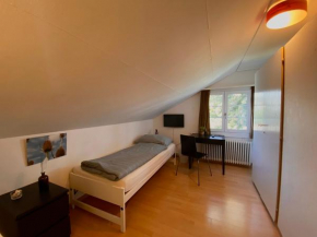 Budgetapartment Rheinfall von Swisspartments